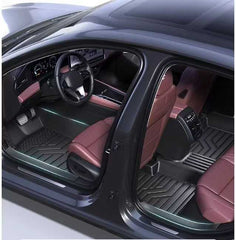 TPE Car Mats