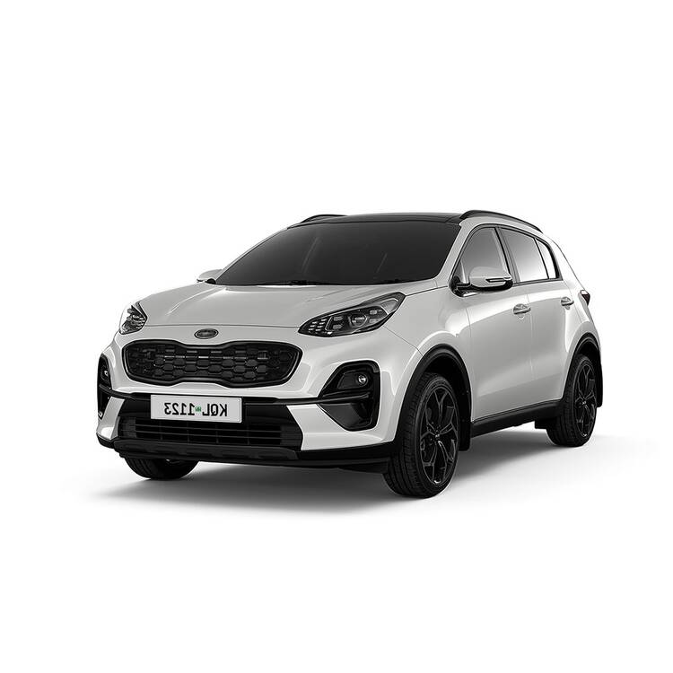 Rent a Car (Kia Sportage)